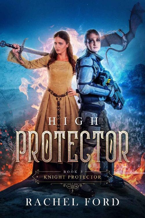 High Protector ( Book 3)