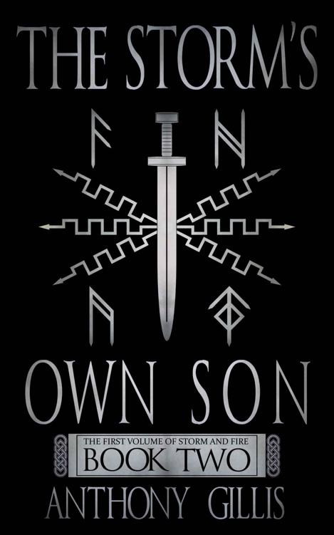 The Storm's Own Son (Book 2)