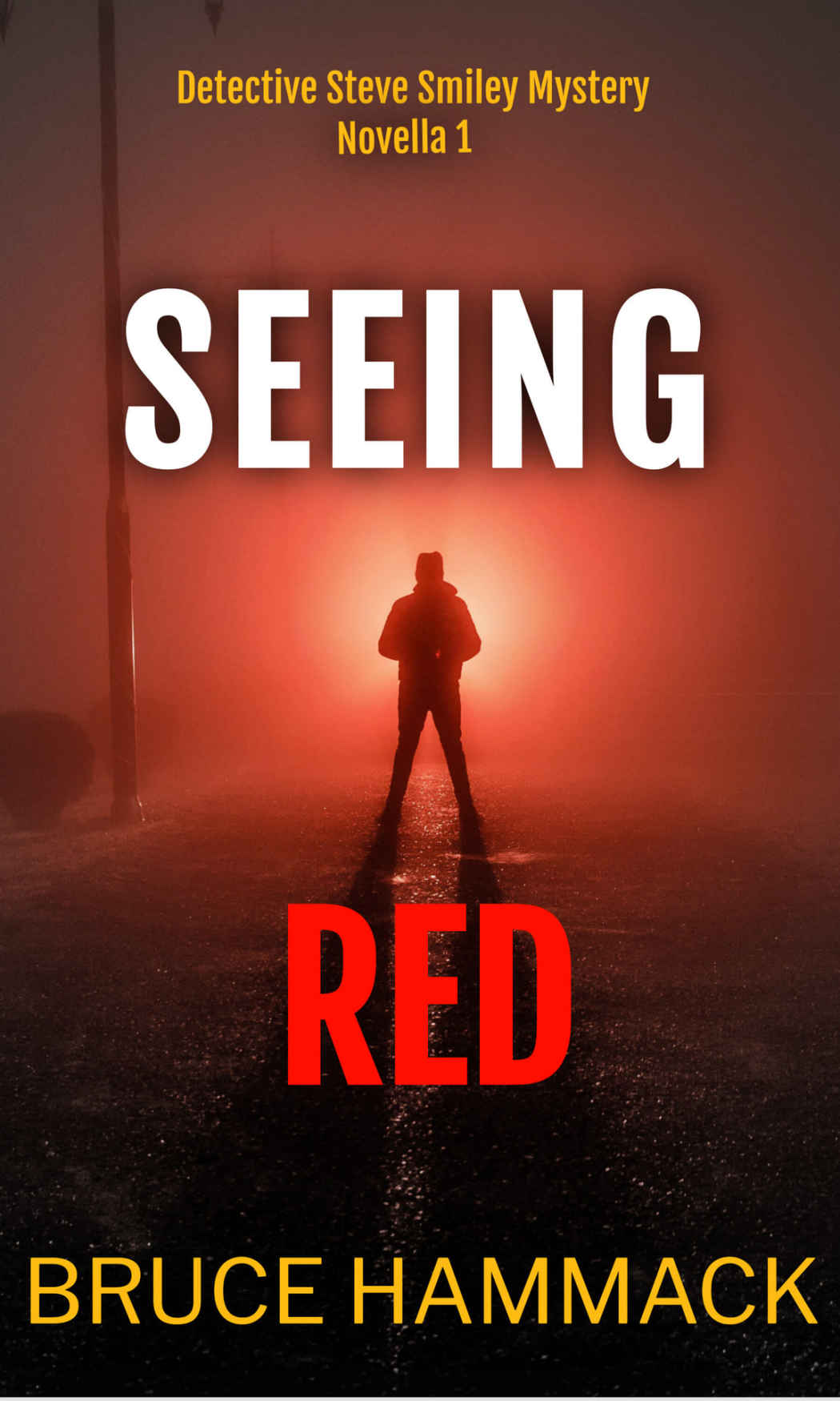 Seeing Red: Detective Steve Smiley Mystery