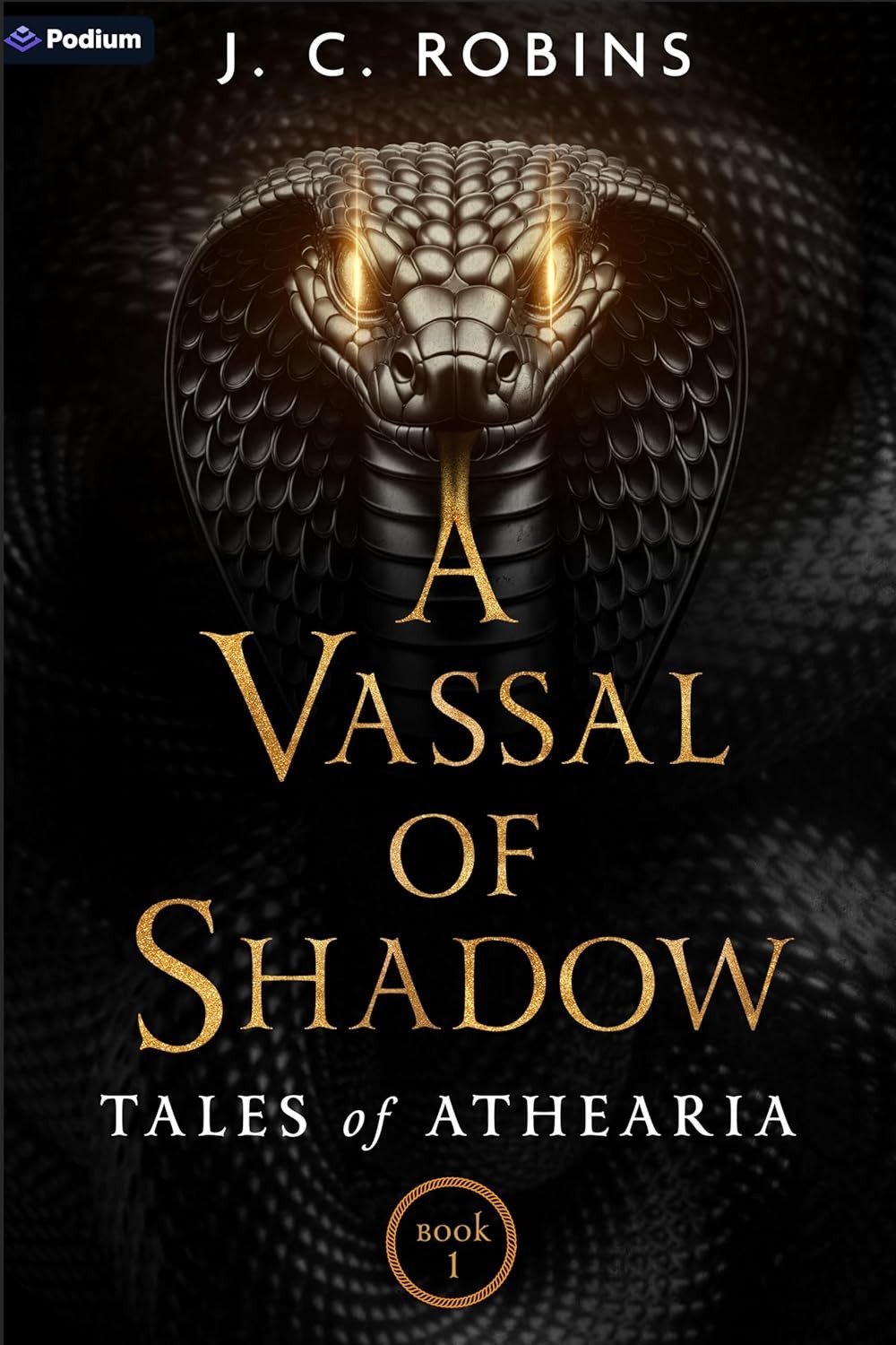 A Vassal of Shadow: An Epic Fantasy