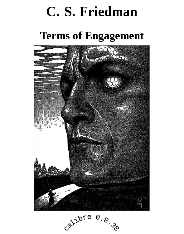 Terms of Engagement