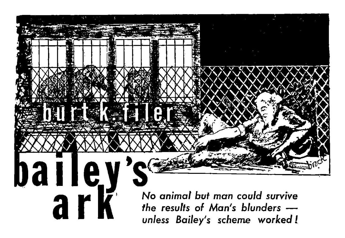 Bailey's Ark