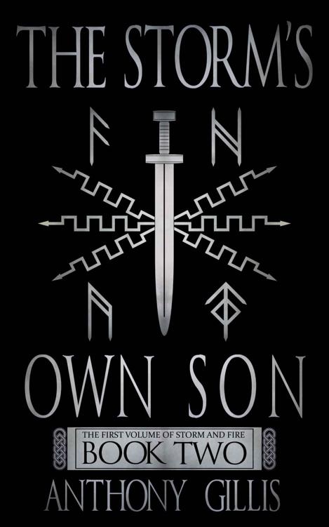 The Storm's Own Son: Book Two