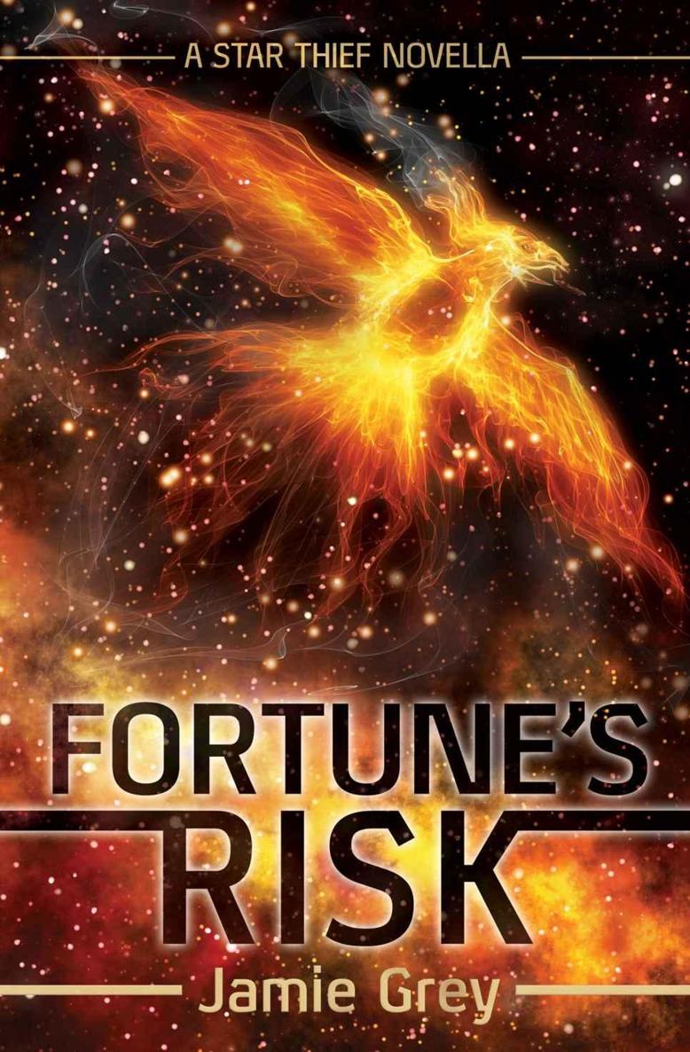 Fortune's Risk: A Star Thief Novella (Star Thief Chronicles #1.5)