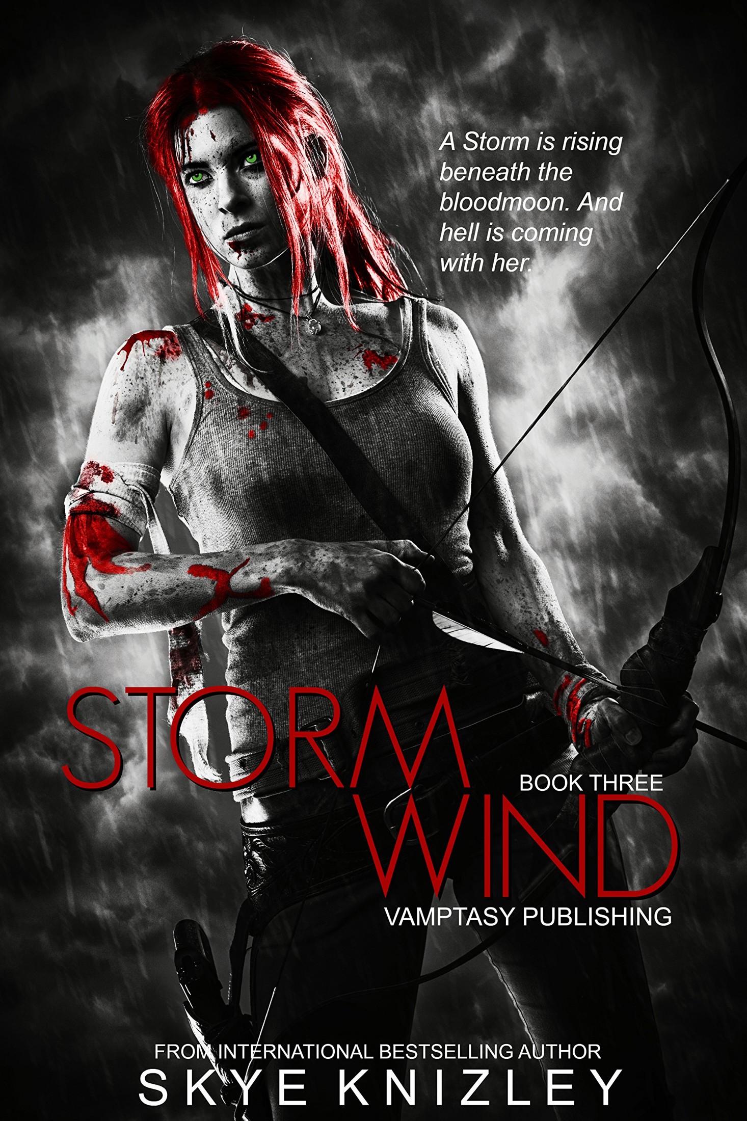 Stormwind (The Storm Chronicles Book 3)