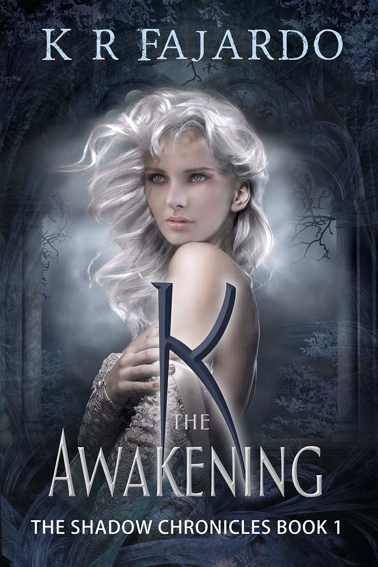 K: The Awakening (The Shadow Chronicles Book 1)