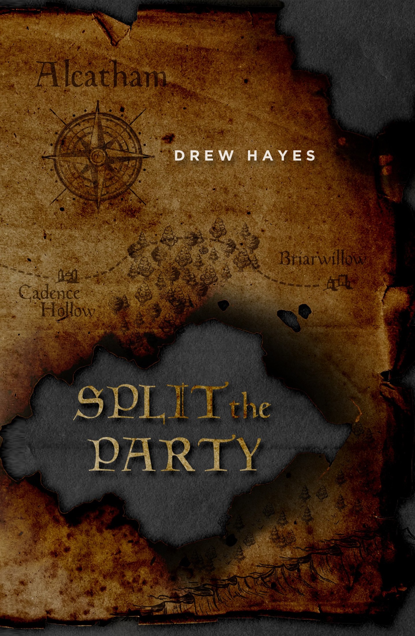 Split the Party (Spells, Swords, & Stealth Book 2)